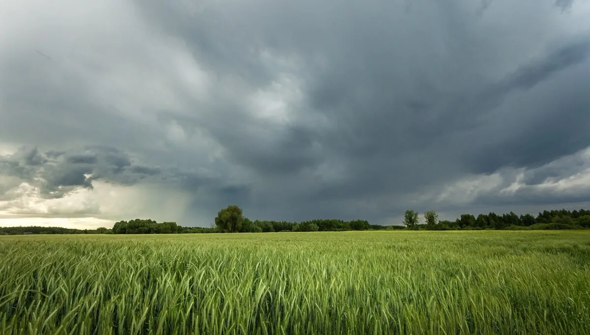 Clima favorable en La Rioja: Implicaciones para la agroindustria argentina
