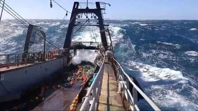 La pesca argentina crece 8% al 1 de julio y redefine el mapa portuario nacional