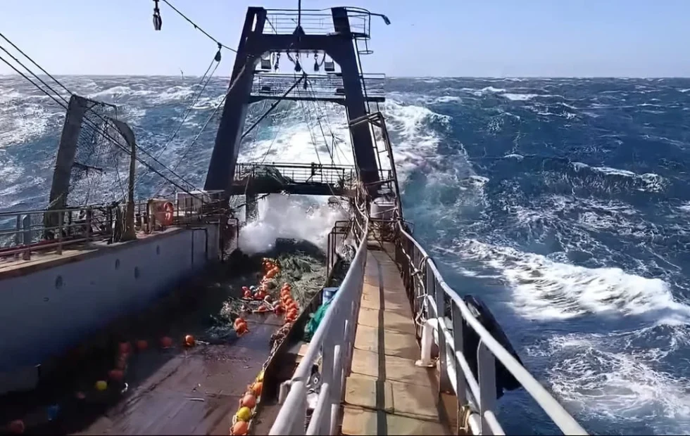La pesca argentina crece 8% al 1 de julio y redefine el mapa portuario nacional