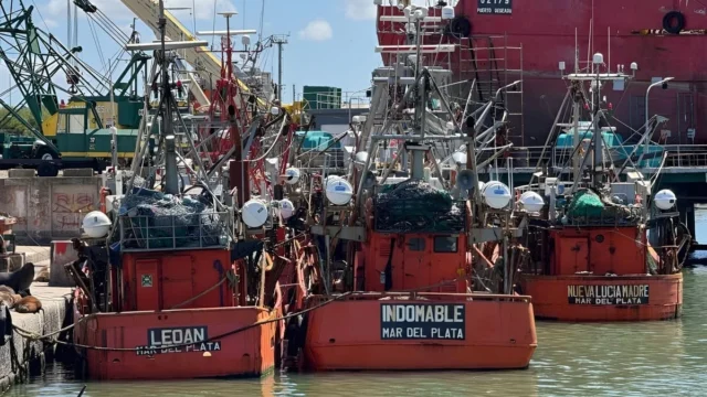 La pesca marplatense alertó por el futuro de las PyMEs costeras y fresqueras