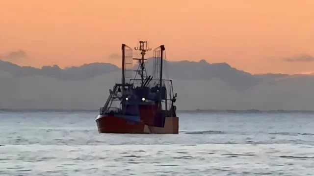 Cierran sectores de las subáreas 12 y 14 por captura de merluza
