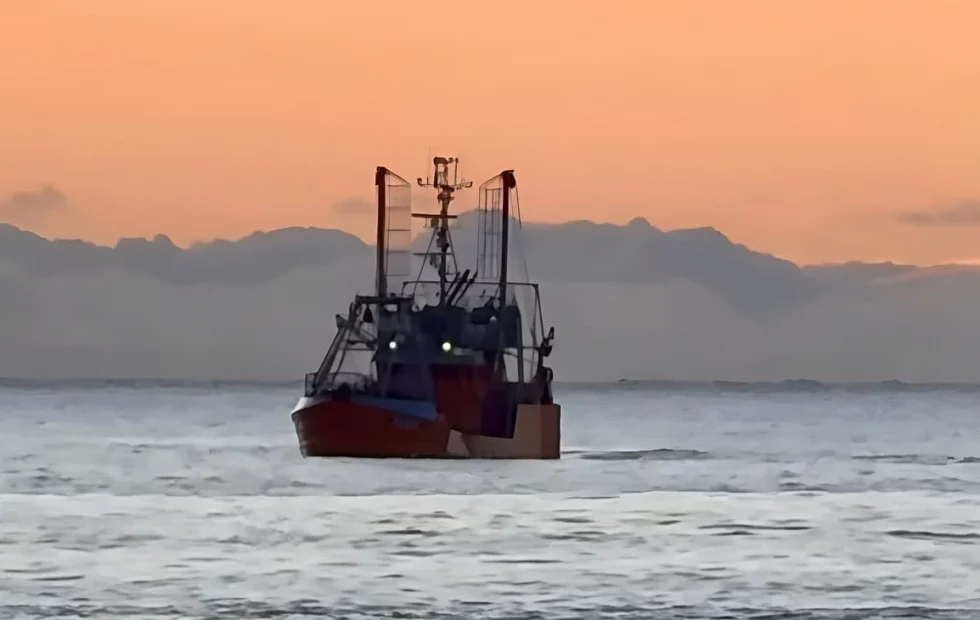 Cierran sectores de las subáreas 12 y 14 por captura de merluza
