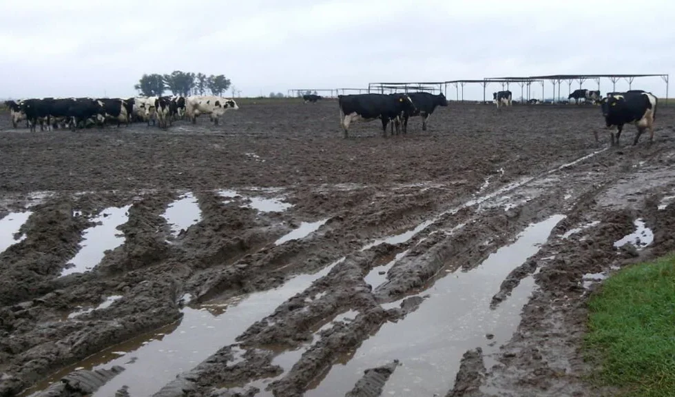 El Niño podría intensificarse y obliga al campo cordobés a anticipar decisiones
