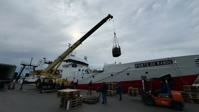 La pesca argentina alcanzó en siete meses su mayor desembarque en una década