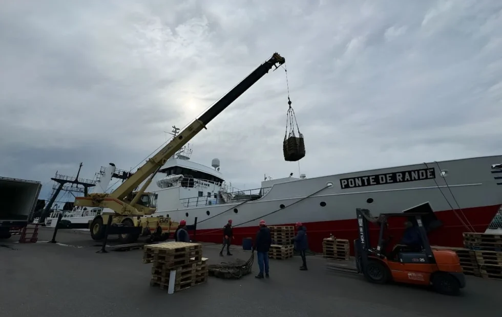 La pesca argentina alcanzó en siete meses su mayor desembarque en una década