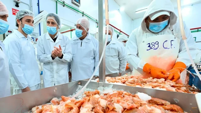 Panamá quiere convertir su red portuaria en puente para la pesca de Chubut