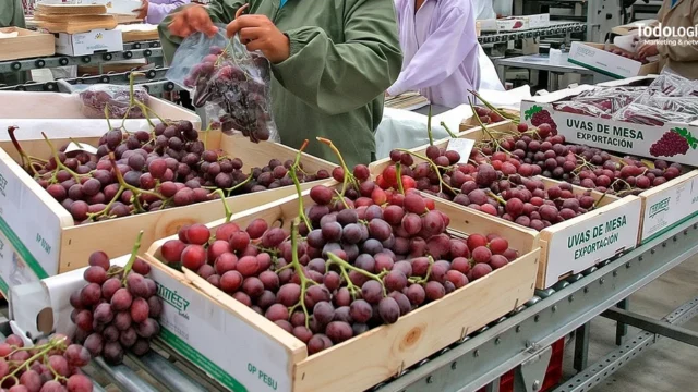 Perú refuerza su estrategia para exportar frutas y hortalizas