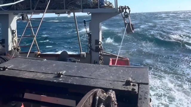 El CFP asignó merluza y revisó el estado de langostino y otras especies