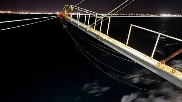 La merluza obligó a cerrar la Subárea 8 para proteger la pesca de langostino