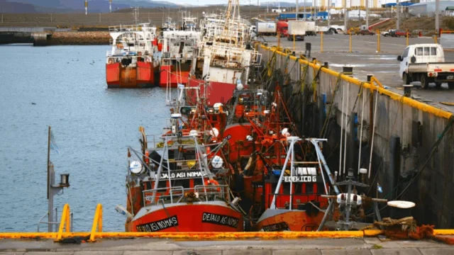 PAE instalará 96 defensas en tres muelles de Puerto Caleta Paula
