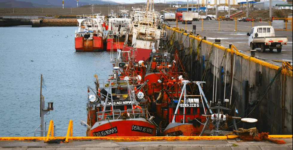 PAE instalará 96 defensas en tres muelles de Puerto Caleta Paula