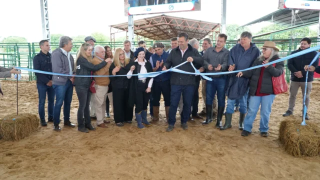 La Nacional Primavera Braford reunió a 26 cabañas en Margarita Belén