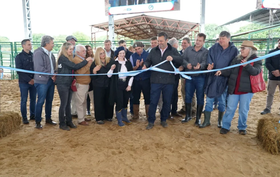 La Nacional Primavera Braford reunió a 26 cabañas en Margarita Belén